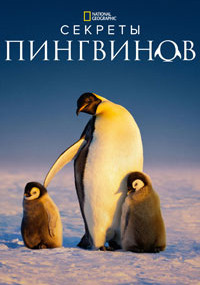 Сериал Секреты пингвинов смотреть все серии